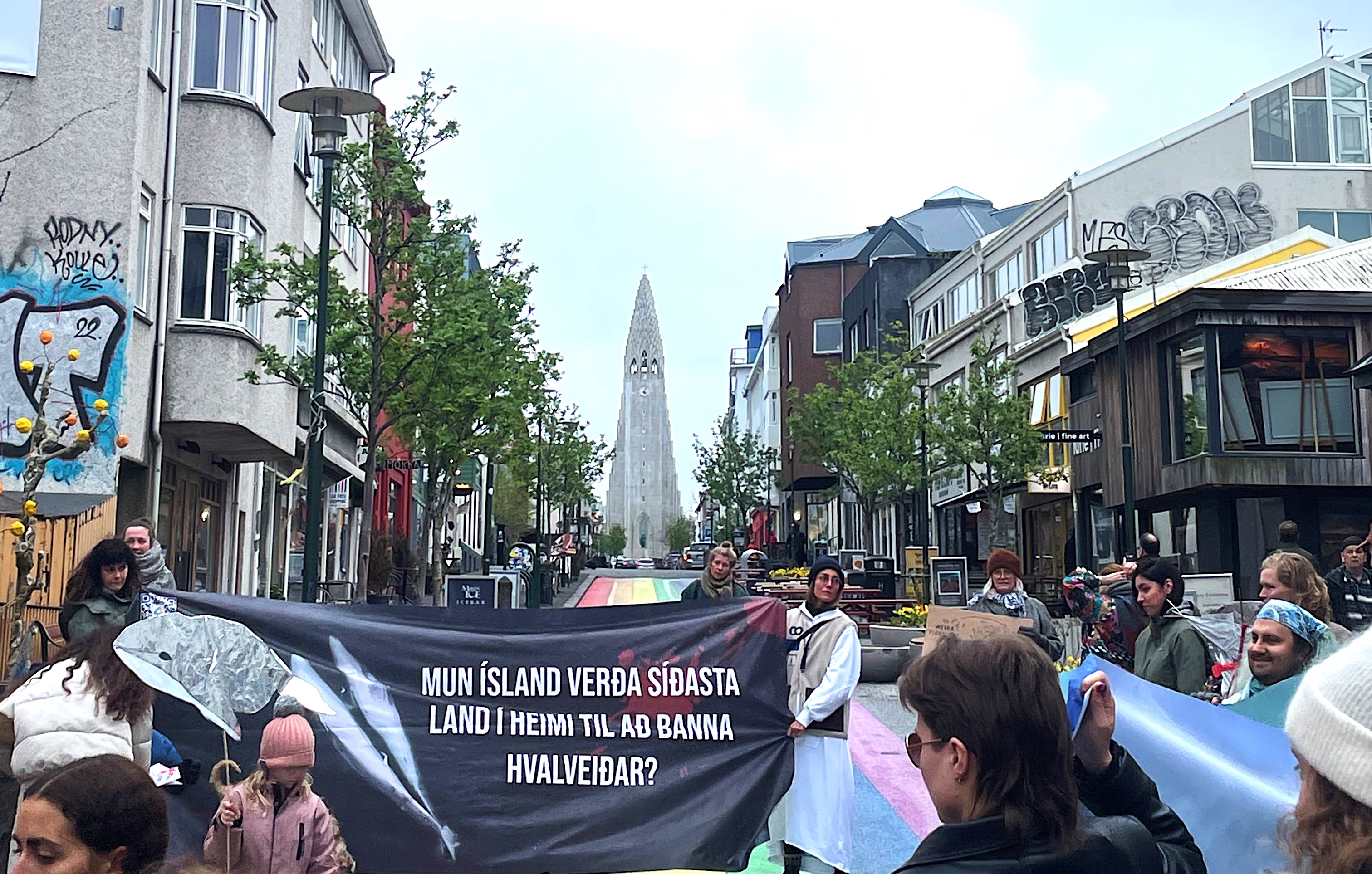 "A Whale-Sized Question" by Hogan Milam - Image